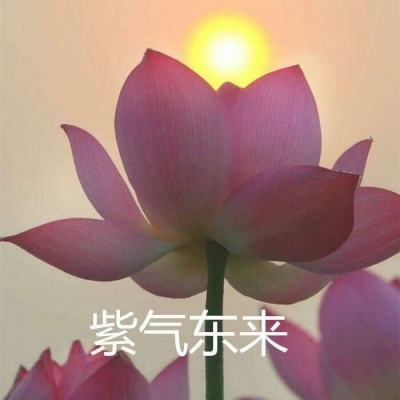 苗疆传奇手游公测正式版下载